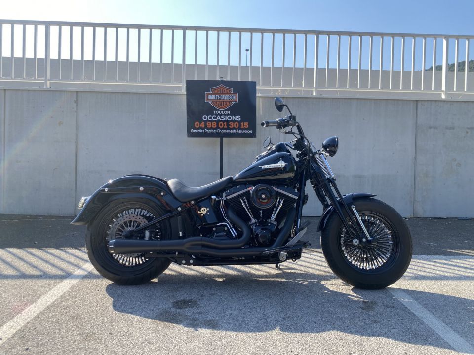 HARLEY-DAVIDSON SOFTAIL SPRINGER 1584 CROSS BONES 4