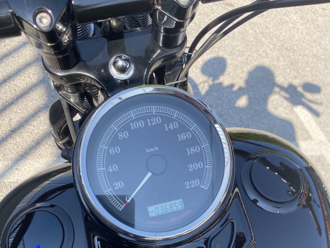 HARLEY-DAVIDSON SOFTAIL SPRINGER 1584 CROSS BONES 4