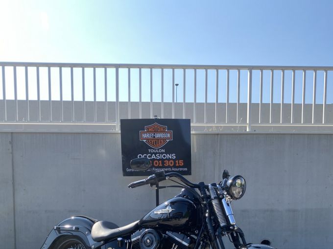 HARLEY-DAVIDSON SOFTAIL SPRINGER 1584 CROSS BONES 4