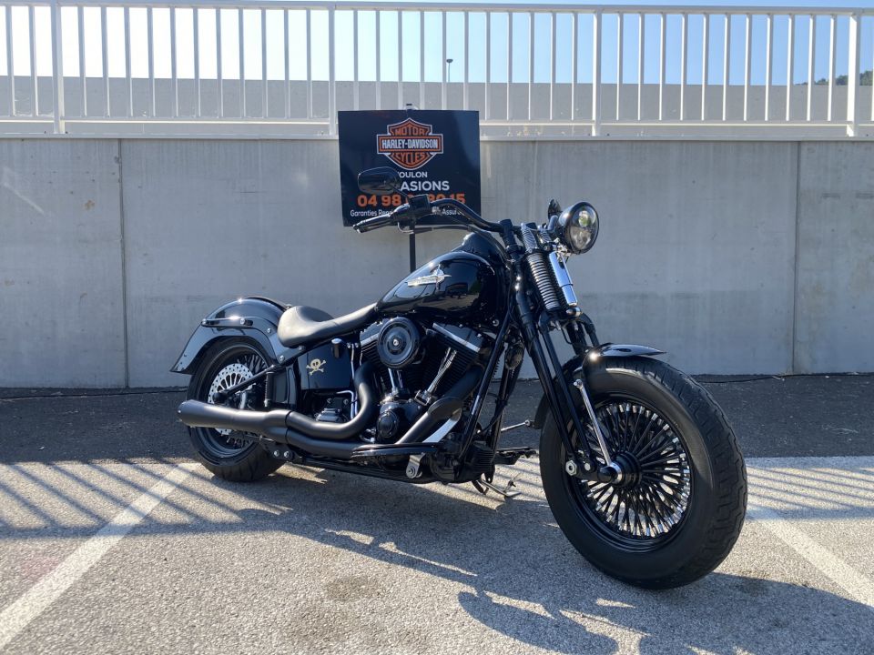 HARLEY-DAVIDSON SOFTAIL SPRINGER 1584 CROSS BONES 4
