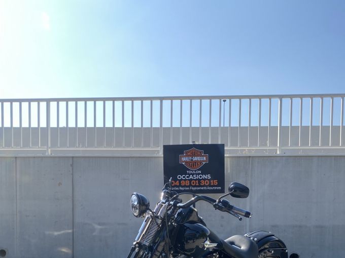 HARLEY-DAVIDSON SOFTAIL SPRINGER 1584 CROSS BONES 4