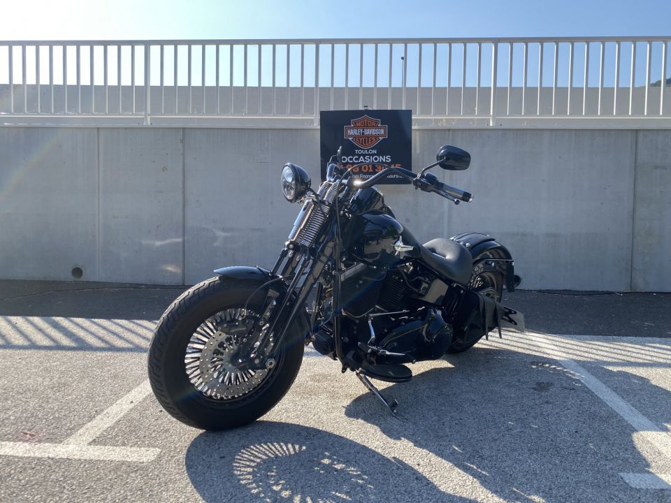 HARLEY-DAVIDSON SOFTAIL SPRINGER 1584 CROSS BONES 4