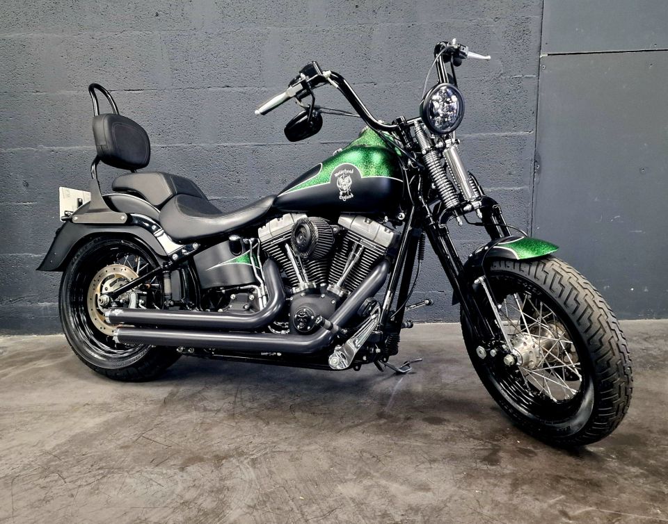 HARLEY-DAVIDSON SOFTAIL CROSS BONES 1584 4