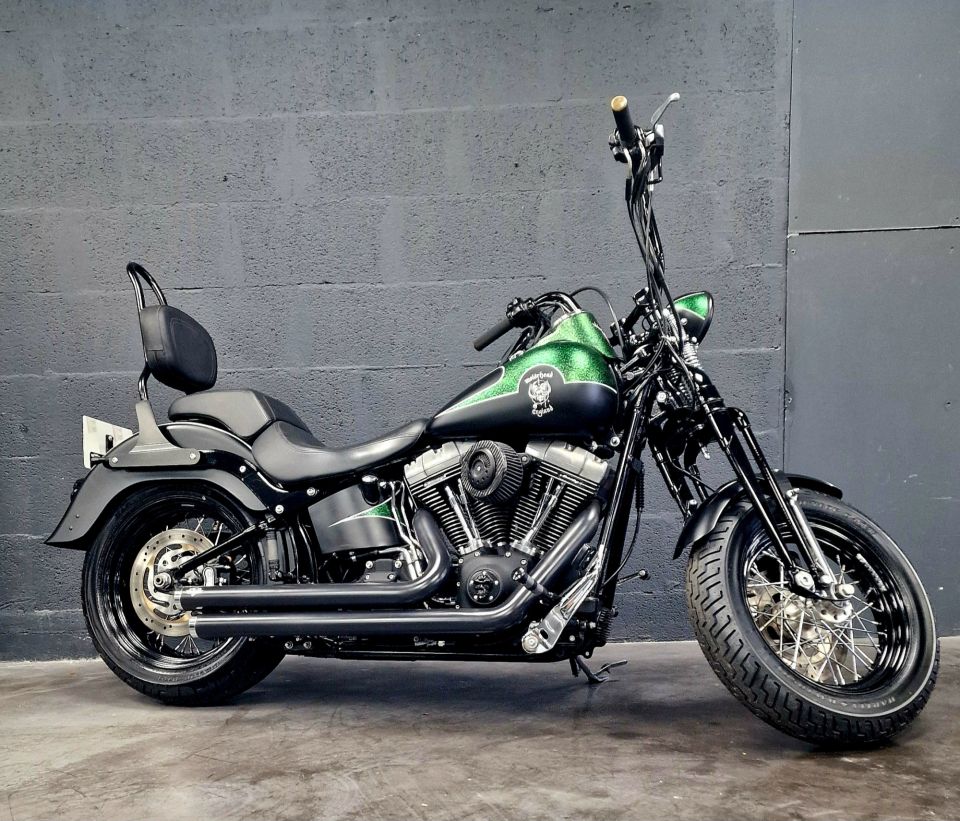 HARLEY-DAVIDSON SOFTAIL CROSS BONES 1584 4