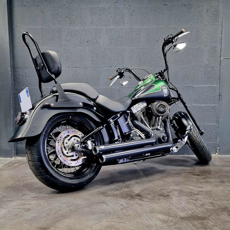 HARLEY-DAVIDSON SOFTAIL CROSS BONES 1584 4