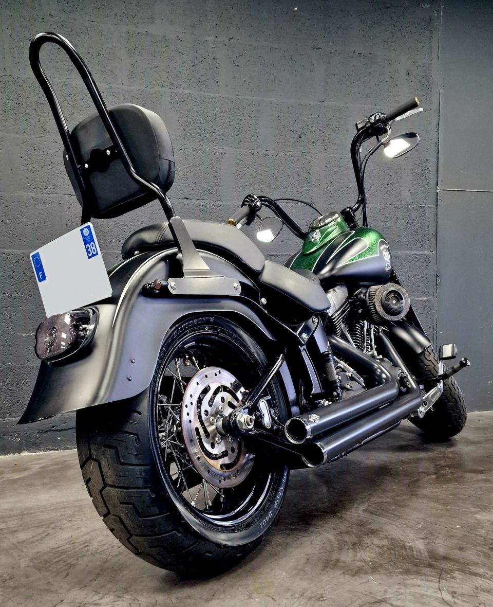 HARLEY-DAVIDSON SOFTAIL CROSS BONES 1584 4