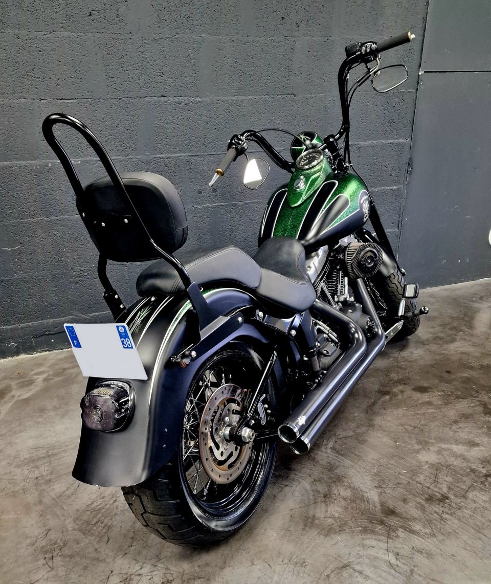 HARLEY-DAVIDSON SOFTAIL CROSS BONES 1584 4