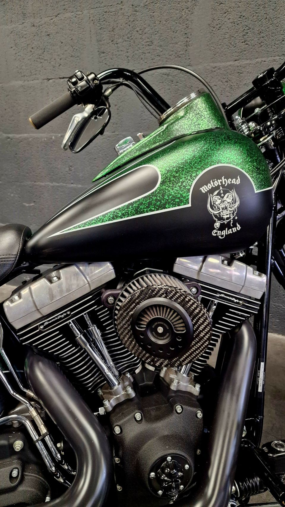 HARLEY-DAVIDSON SOFTAIL CROSS BONES 1584 4