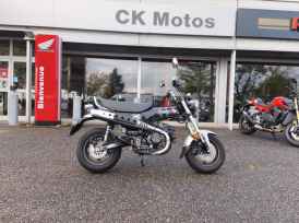 HONDA DAX 125 - 2025