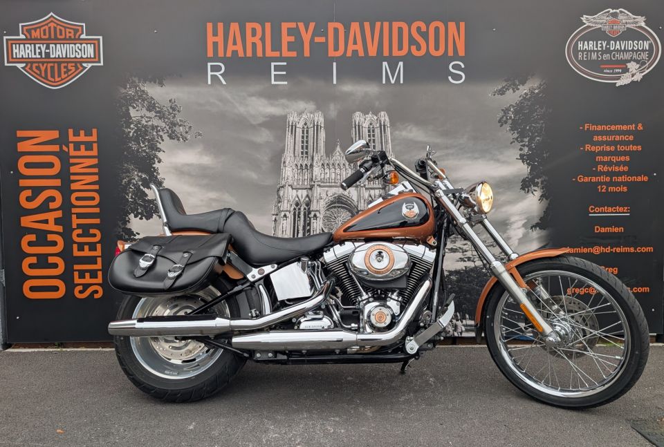HARLEY-DAVIDSON SOFTAIL CUSTOM 1584 4