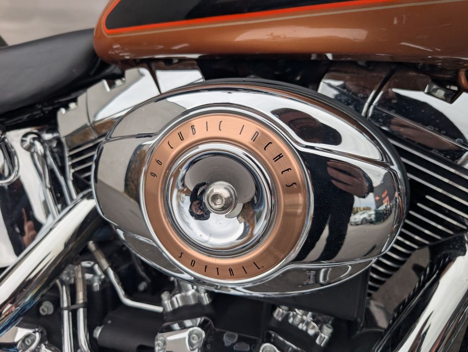 HARLEY-DAVIDSON SOFTAIL CUSTOM 1584 4