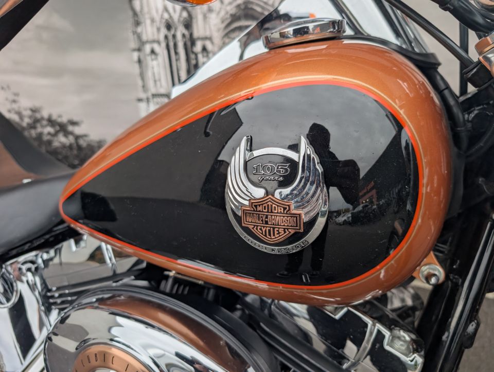 HARLEY-DAVIDSON SOFTAIL CUSTOM 1584 4