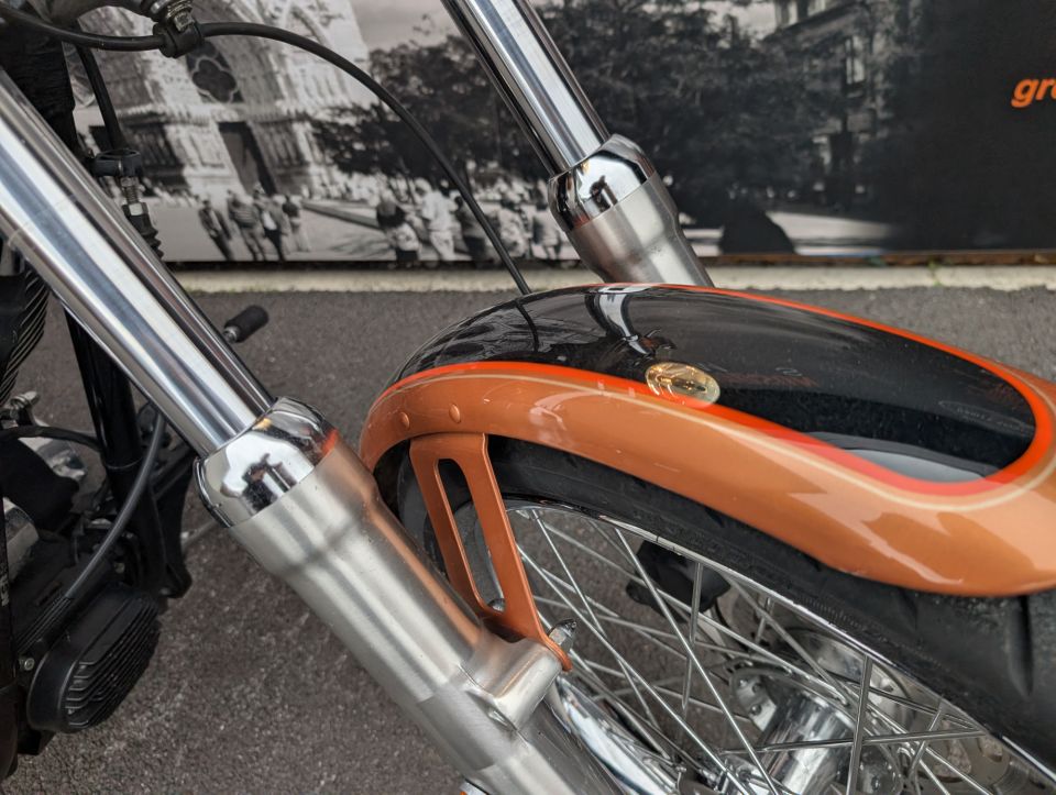 HARLEY-DAVIDSON SOFTAIL CUSTOM 1584 4