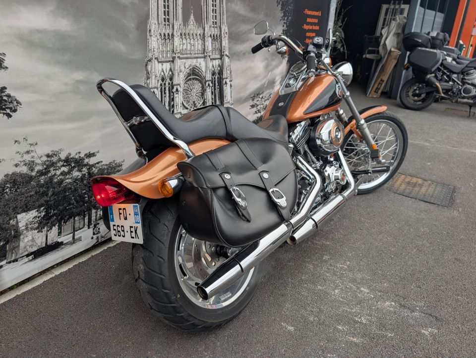 HARLEY-DAVIDSON SOFTAIL CUSTOM 1584 4