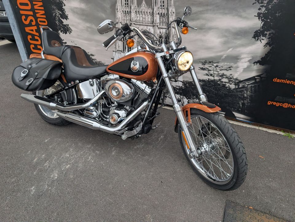 HARLEY-DAVIDSON SOFTAIL CUSTOM 1584 4