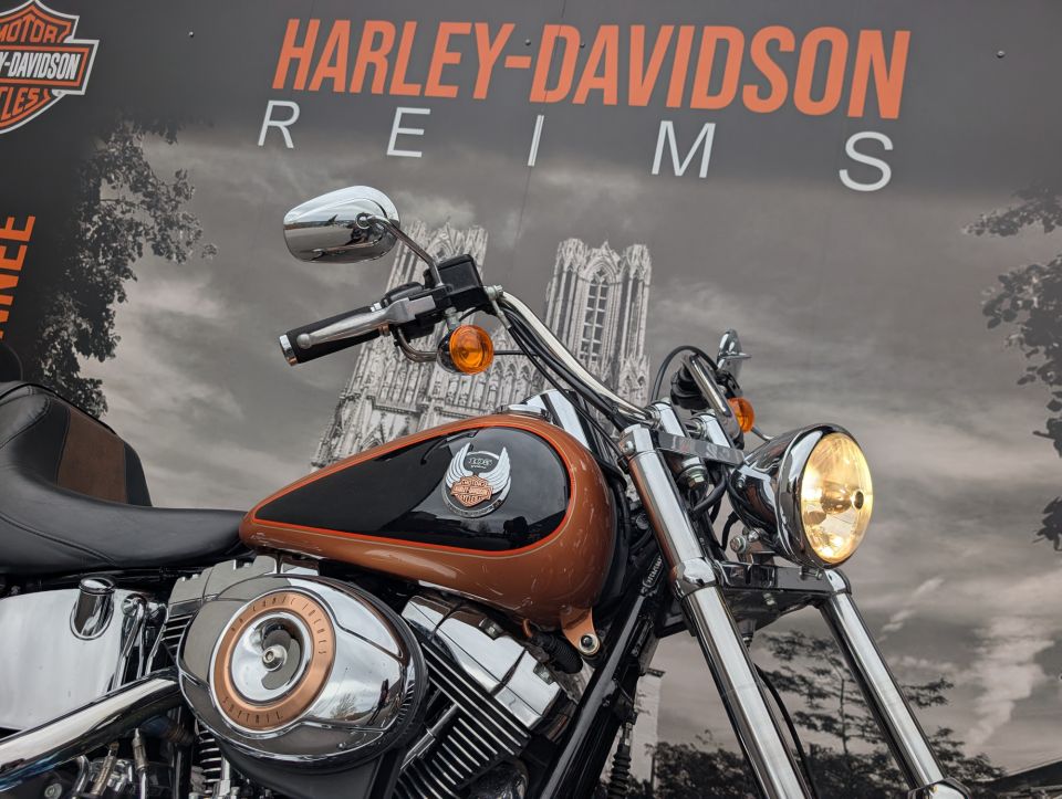 HARLEY-DAVIDSON SOFTAIL CUSTOM 1584 4