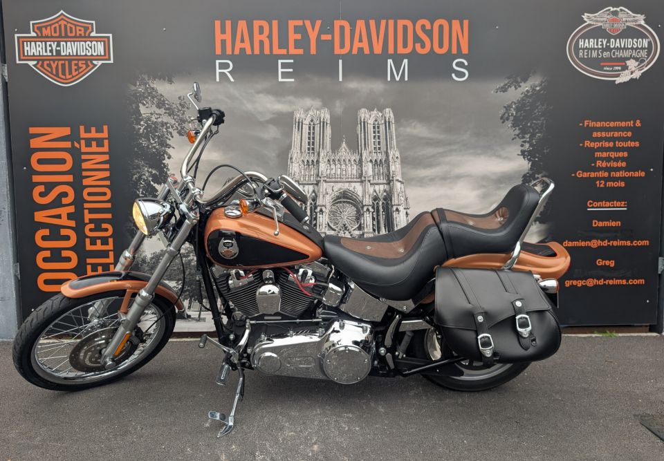 HARLEY-DAVIDSON SOFTAIL CUSTOM 1584 4