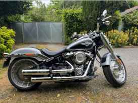 HARLEY-DAVIDSON SOFTAIL FAT BOY 1870 - 2019