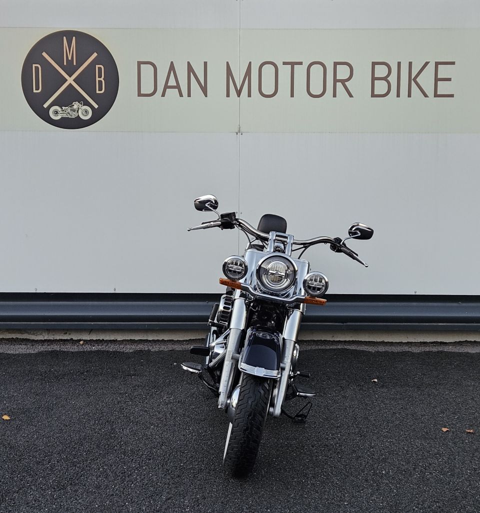 HARLEY-DAVIDSON SOFTAIL DELUXE 1745 4