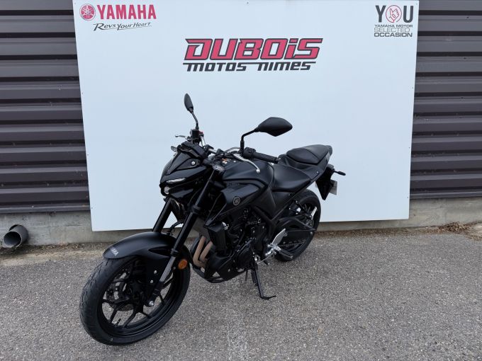 YAMAHA MT-03 4