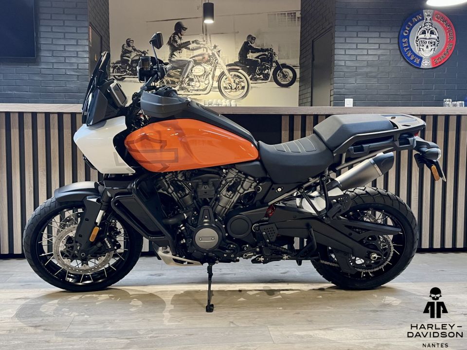 HARLEY-DAVIDSON ADVENTURE PAN AMERICA 1250 SPECIAL 4
