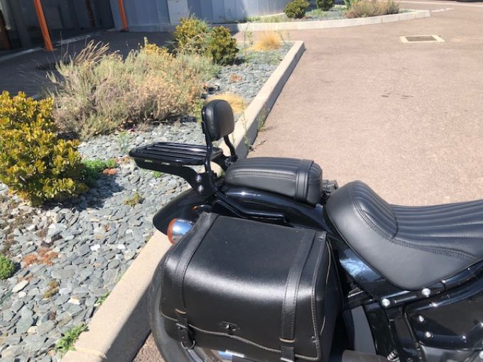 HARLEY-DAVIDSON SOFTAIL STANDARD 1745 4