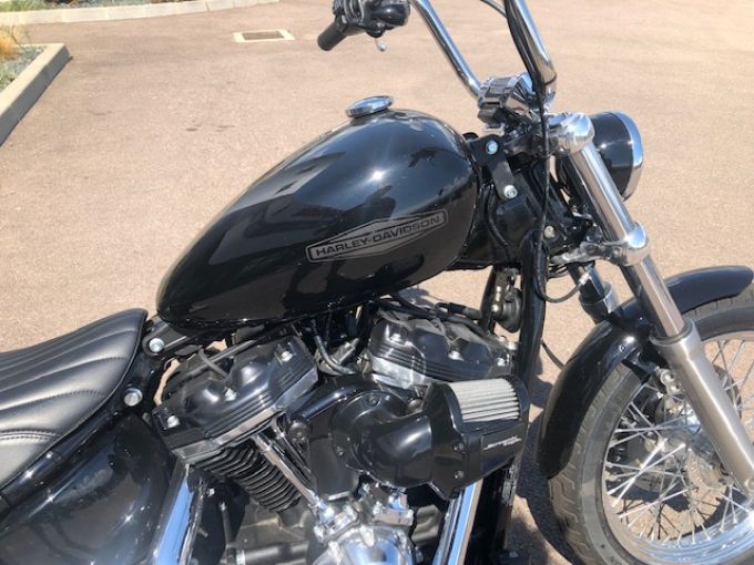 HARLEY-DAVIDSON SOFTAIL STANDARD 1745 4