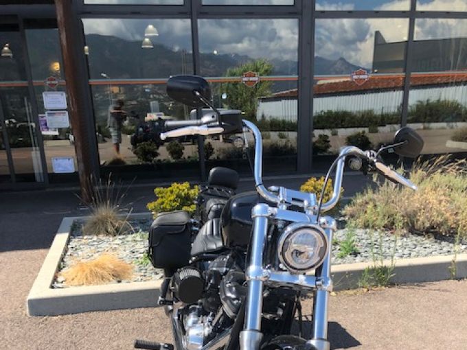 HARLEY-DAVIDSON SOFTAIL STANDARD 1745 4