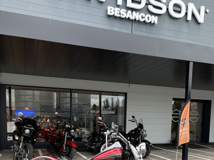 HARLEY-DAVIDSON SOFTAIL HERITAGE 1450 4