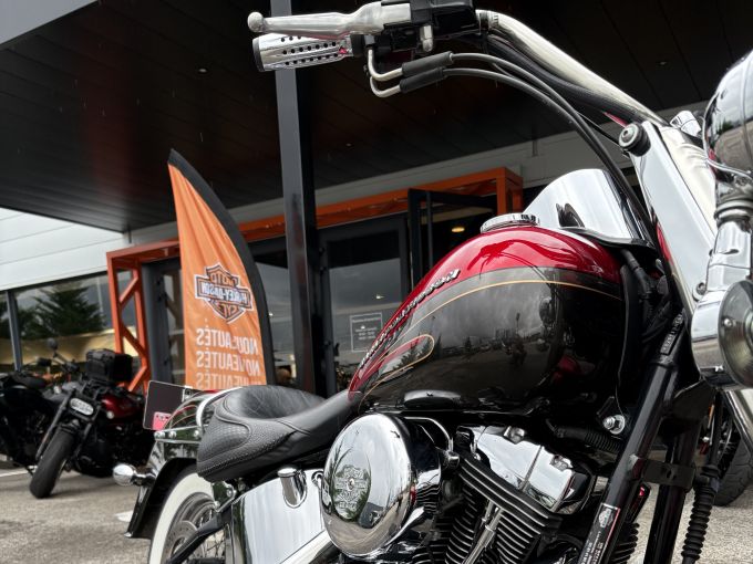 HARLEY-DAVIDSON SOFTAIL HERITAGE 1450 4