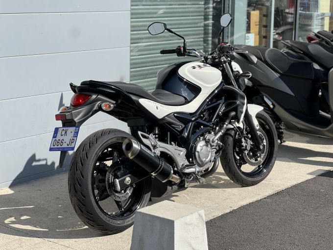 SUZUKI GLADIUS 650 4