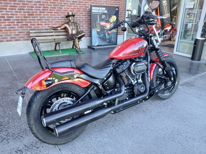 HARLEY-DAVIDSON SOFTAIL STREET BOB 1868 4