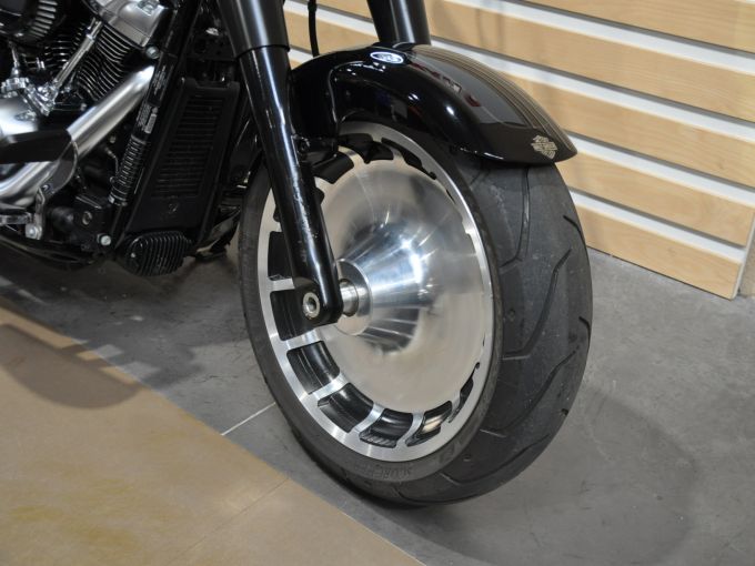 HARLEY-DAVIDSON SOFTAIL FAT BOY 1868 4