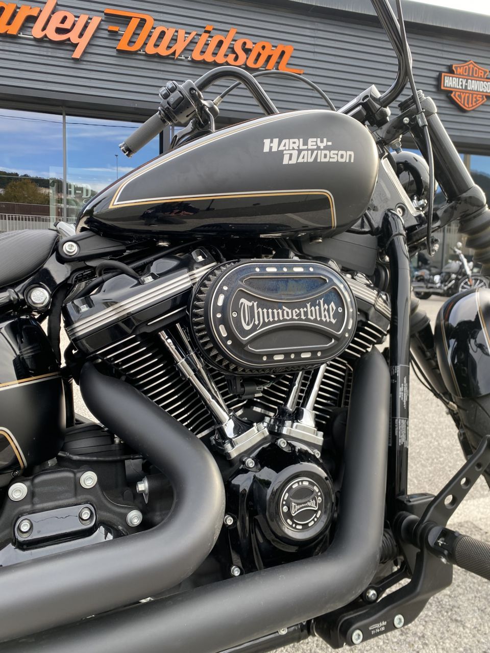 HARLEY-DAVIDSON SOFTAIL STREET BOB 1868 4