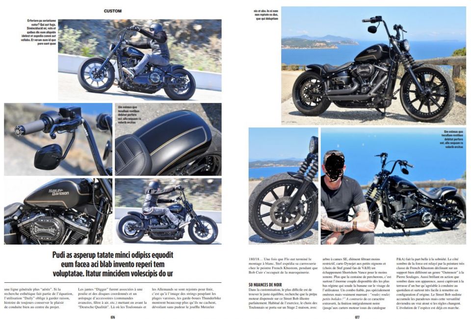 HARLEY-DAVIDSON SOFTAIL STREET BOB 1868 4