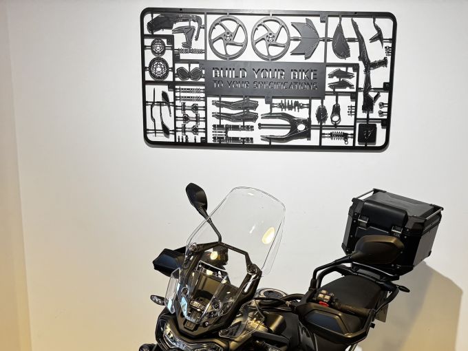 TRIUMPH TIGER 900 RALLY PRO 4
