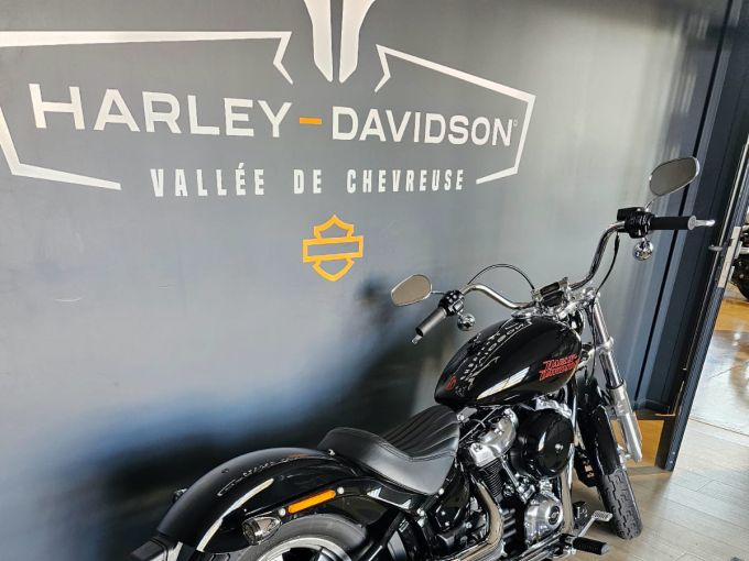 HARLEY-DAVIDSON SOFTAIL STANDARD 1745 4