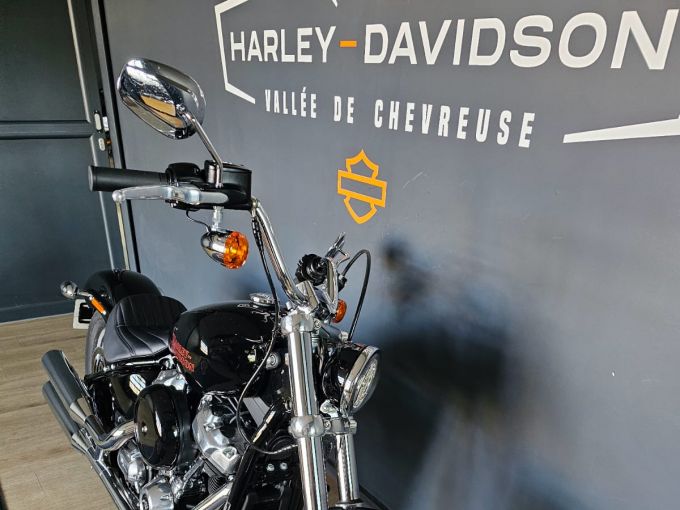 HARLEY-DAVIDSON SOFTAIL STANDARD 1745 4