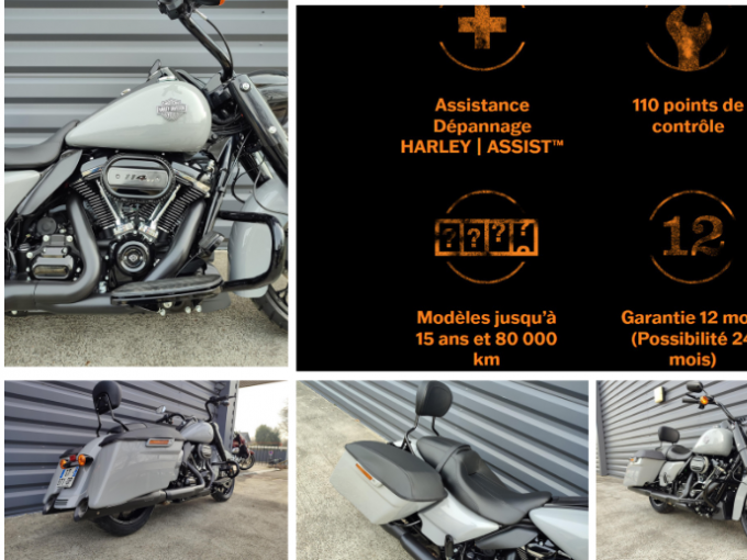 HARLEY-DAVIDSON TOURING ROAD KING 1868 SPECIAL 4