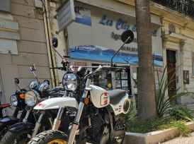 MASH X-RIDE 650 - 2022