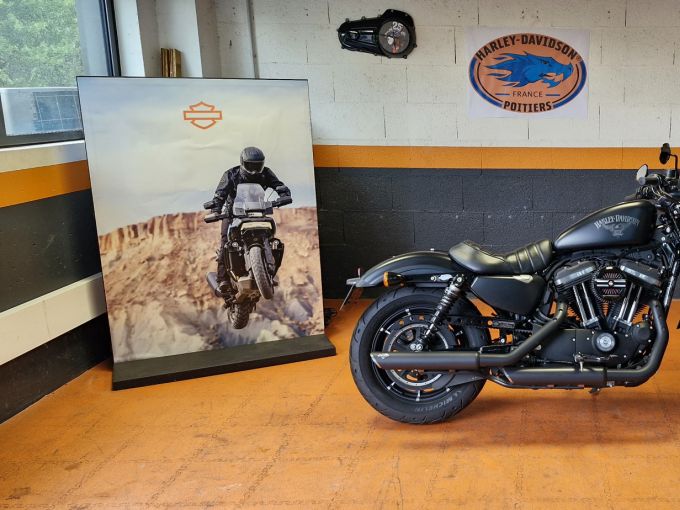 HARLEY-DAVIDSON SPORTSTER IRON 883 4
