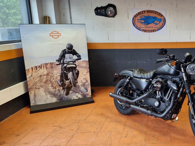 HARLEY-DAVIDSON SPORTSTER IRON 883 4