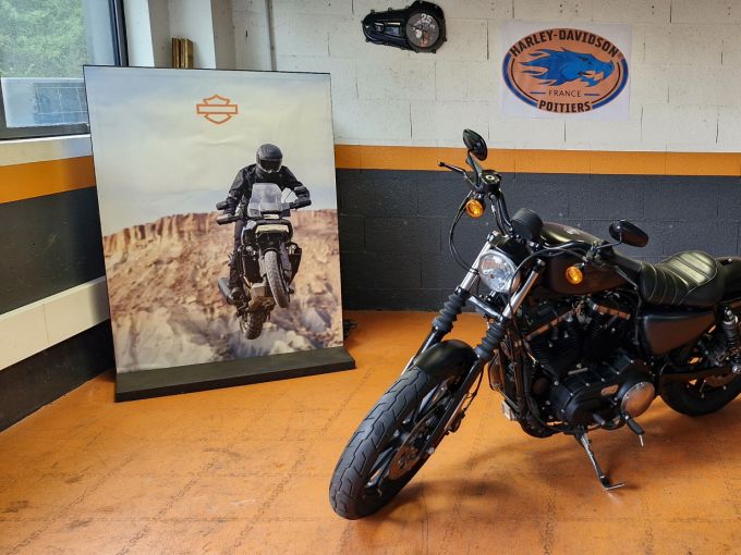 HARLEY-DAVIDSON SPORTSTER IRON 883 4
