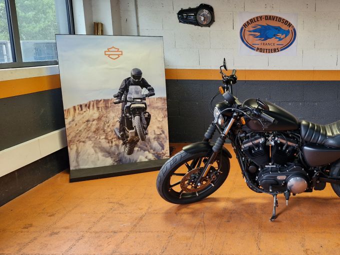 HARLEY-DAVIDSON SPORTSTER IRON 883 4