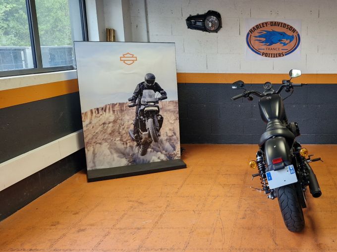 HARLEY-DAVIDSON SPORTSTER IRON 883 4