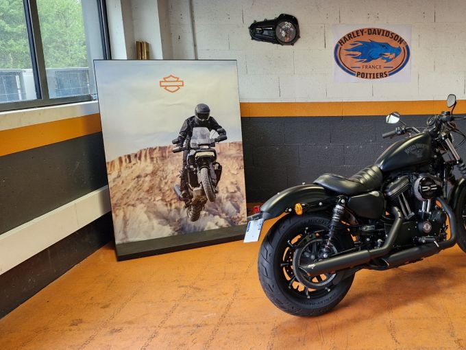 HARLEY-DAVIDSON SPORTSTER IRON 883 4