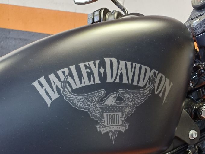 HARLEY-DAVIDSON SPORTSTER IRON 883 4