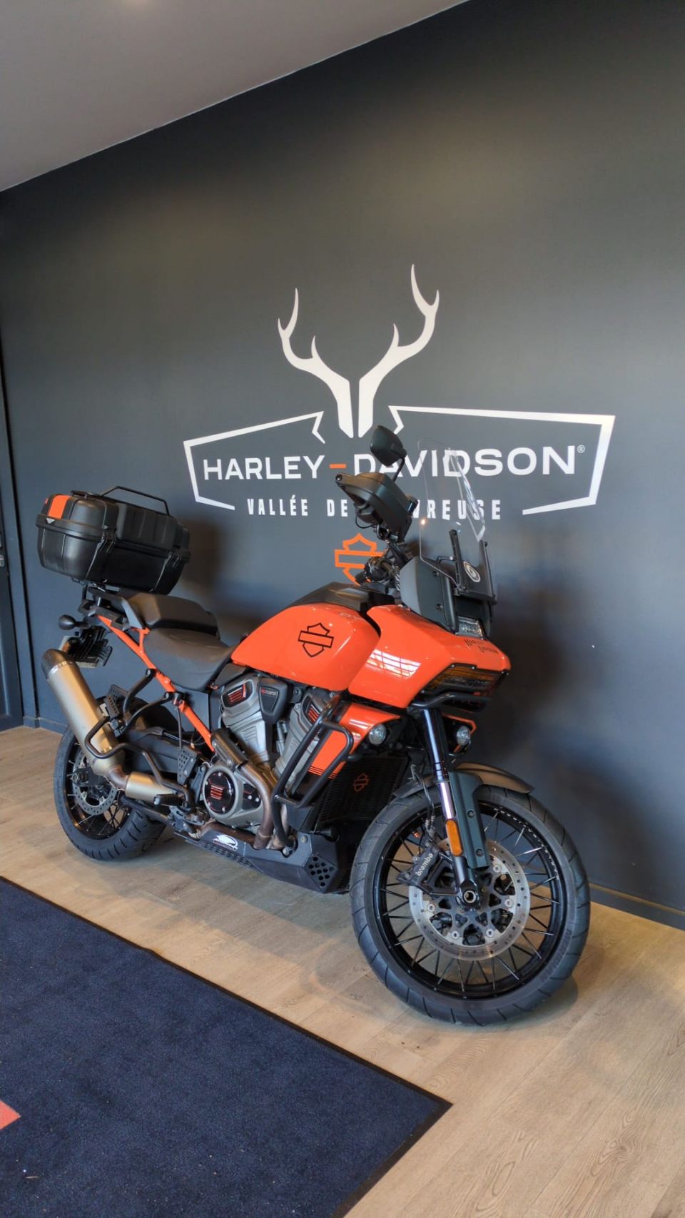 HARLEY-DAVIDSON ADVENTURE PAN AMERICA 1250 SPECIAL 4