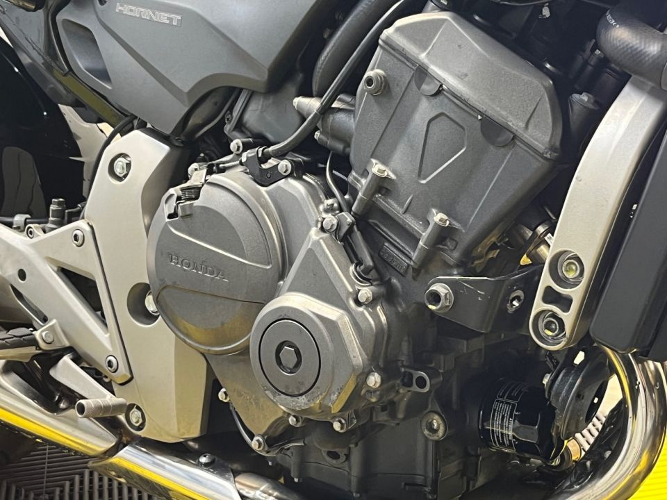 HONDA CB 600 F HORNET 4