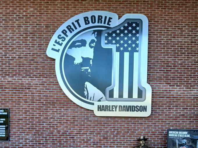 HARLEY-DAVIDSON SPORTSTER 883 LOW 4